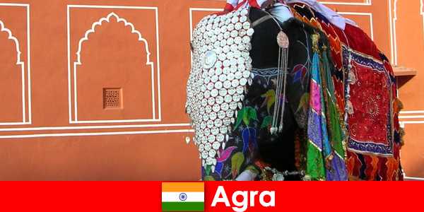 Turiștii sălbăticie în Agra iubesc varietatea de animale