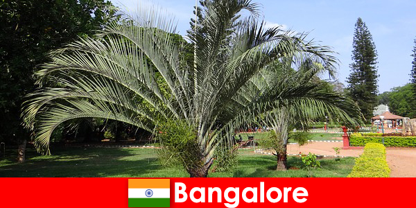 Bangalore climat plăcut pe tot parcursul anului pentru fiecare străin în valoare de o excursie