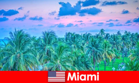 Miami natura uimitoare cu mare pustie tropicale
