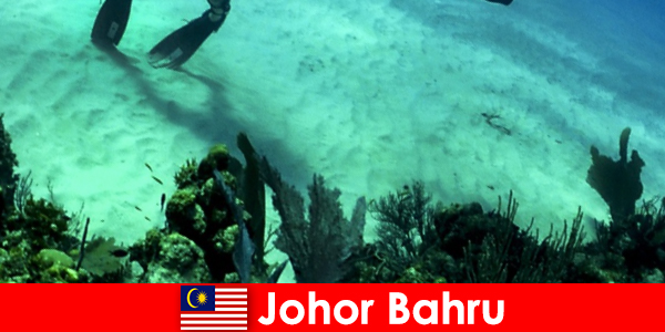 Activități de aventură în Johor Bahru Scufundări, alpinism, drumeții și multe altele