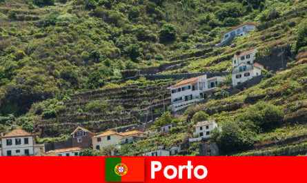 Destinatie de vacanta Porto pentru iubitorii de vin din intreaga lume