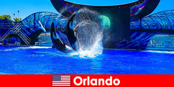 Rezervați călătorii individuale pentru străini în Orlando Statele Unite ale Americii