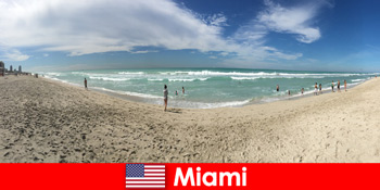 Incitante, șold și unic simt tineri călători în cald Miami Statele Unite ale Americii