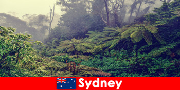 Explorarea Sydney Australia în lumea impresionantă a parcurilor naționale