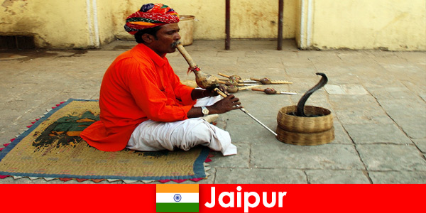 În Jaipur India, turiștii experimentează dansuri de șarpe și divertisment pe străzile pline de viață