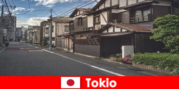 Excursie de vis în cele mai fascinante cartiere din Tokyo Japonia
