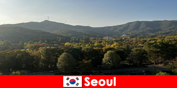 Pachete populare de vacanță de grup pentru Seul Coreea de Sud