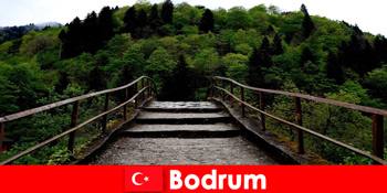 Temperaturile blânde sunt cel mai bun moment pentru drumeții pentru turiști în Bodrum Turcia