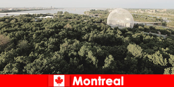 Backpackers explora natura sălbatică în Montreal Canada pe jos