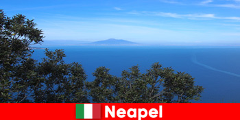 Străinii iubesc joie de vivre și ospitalitatea din Napoli Italia