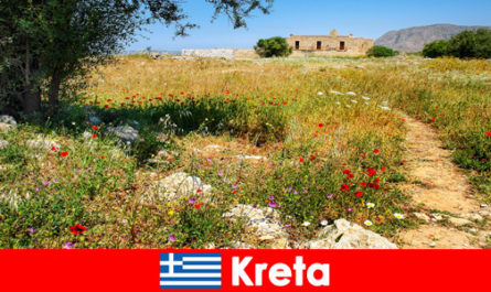 Mâncare mediteraneană sănătoasă cu experiență în natură îi așteaptă pe turiștii din Creta Grecia