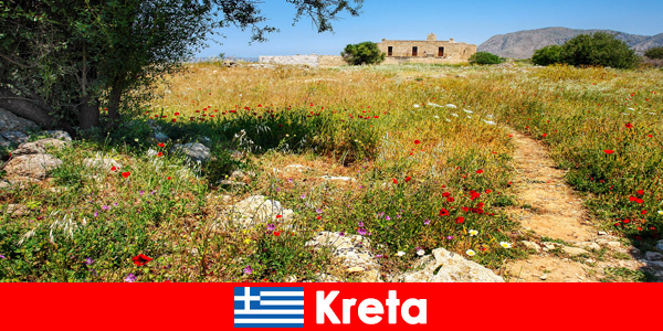 Mâncare mediteraneană sănătoasă cu experiență în natură îi așteaptă pe turiștii din Creta Grecia
