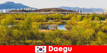 Sfaturi de top pentru călătorii independenți în Daegu, Coreea de Sud