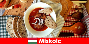 Oaspeții se bucură de localități și cultură în Miskolc Ungaria