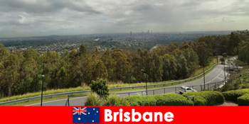 Colecta impresii mare dacă sănătos sau nesănătoase în Brisbane Australia ca un străin