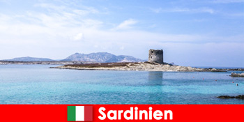 Excursie culinară în Sardinia pentru a descoperi bucătăria italiană