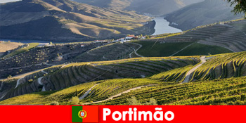 Oaspeții iubesc degustările de vinuri și delicatesele de pe munții din Portimão Portugalia